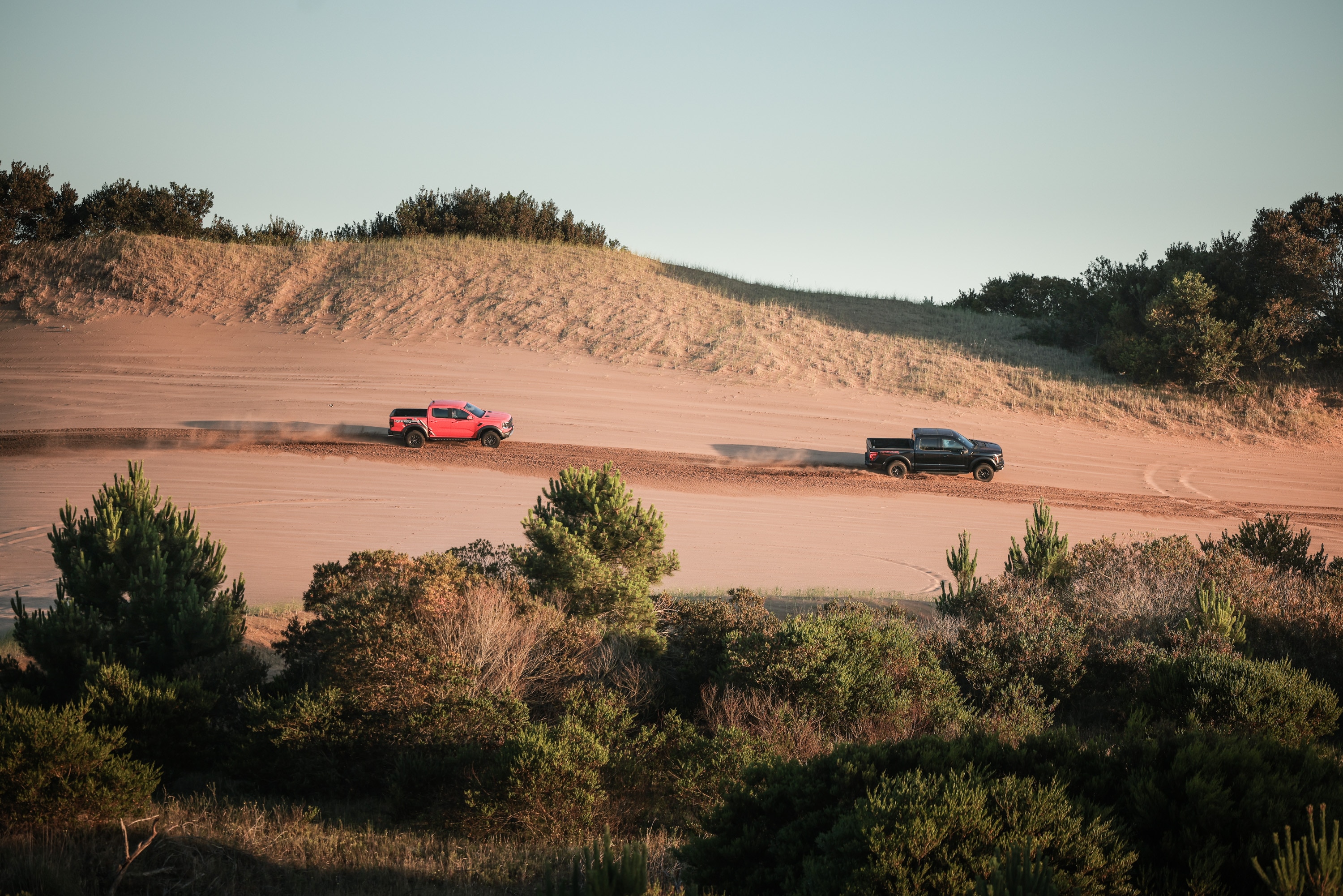 CON UNA PROPUESTA INTEGRAL INICIA FORD SUMMER 2026